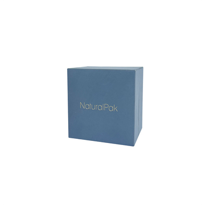 Il supporto blu-chiaro dell'orologio ha impresso Logo Watch And Bracelet Box